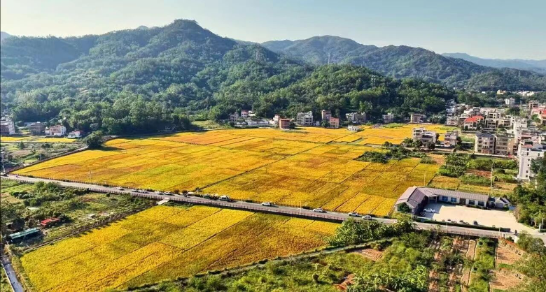 报名啦！创建助力“百千万”--南粤乡村故事演讲大赛汕尾赛区启动